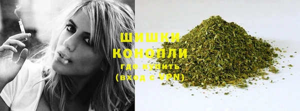 ГАЛЛЮЦИНОГЕННЫЕ ГРИБЫ Лабытнанги