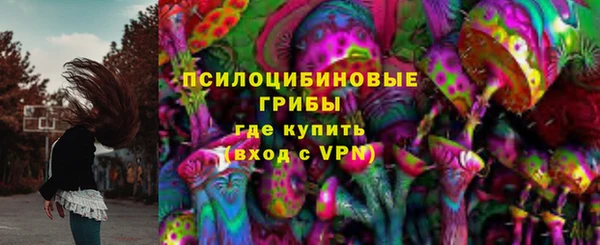 ГАЛЛЮЦИНОГЕННЫЕ ГРИБЫ Лабытнанги