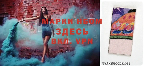 ПСИЛОЦИБИНОВЫЕ ГРИБЫ Ладушкин