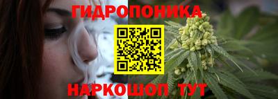 ПСИЛОЦИБИНОВЫЕ ГРИБЫ Аргун